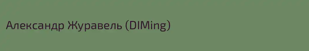 Александр Журавель (DIMing)
